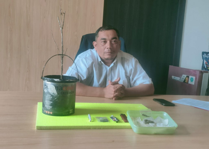 Polres Tanjabtim Ungkap Pelaku Penanaman Ganja Didalam Rumah