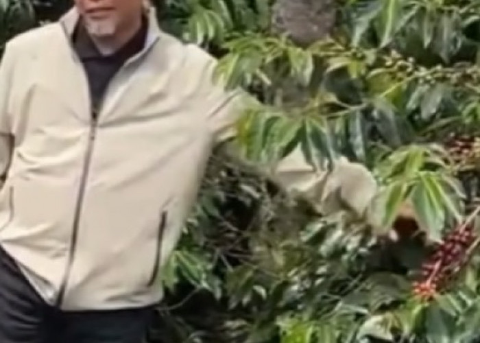 Region Head PTPN IV Regional IV Pantau Konsistensi Mutu dan Produktivitas Kopi di Kebun Kayu Aro