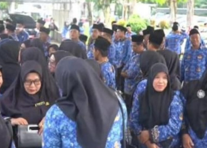 Protes Ditempatkan di Pelosok, Kadis Dikbud Merangin: Jika Tidak Siap, Silakan Mundur!