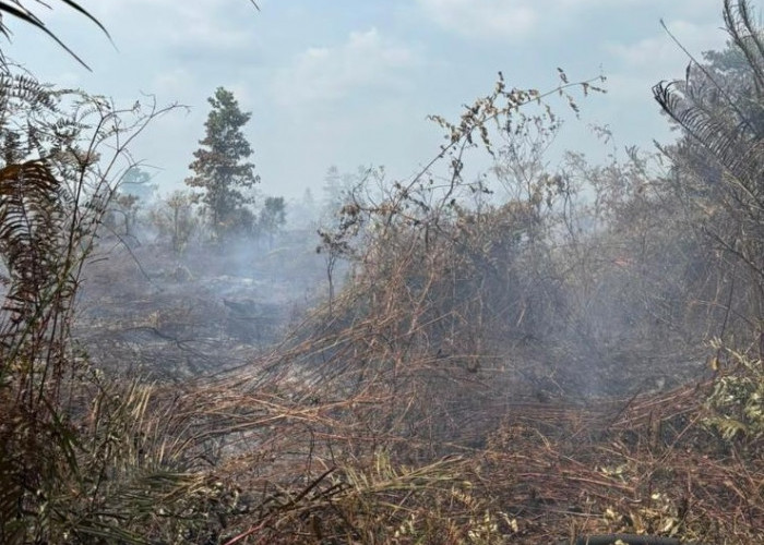 Karhutla di Sungai Gelam Belum Padam, Tim Gabungan Kerahkan Pemadaman Darat dan Udara