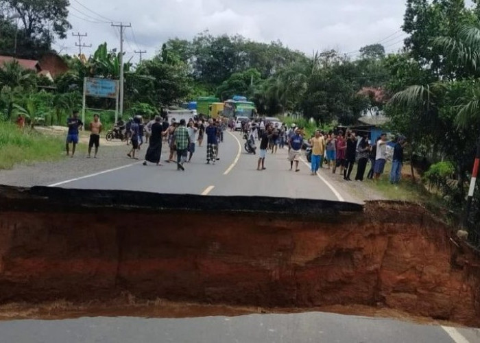 Jalan Lintas Sumatera di Bungo Putus Total, Pengendara Diminta Alihkan Rute