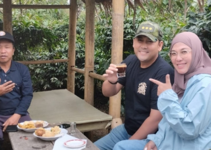 Bupati M. Syukur: Kerinci Ada Arabika, Merangin Ada Robusta, Kerinci Oke Punya, Merangin Luar Biasa