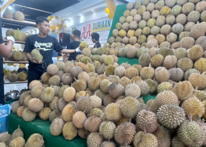 Ada Tempat Makan Durian Baru di Kota Jambi,  Nyaman dan Harganya Terjangkau