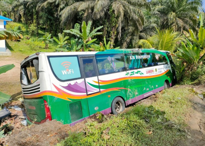 Bus Lorena Kecelakaan di Riau, Dua Penumpang Asal Jambi Meninggal