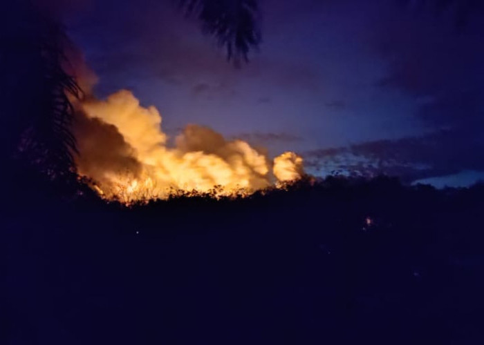 Sumur Minyak Illegal di Kabupaten Batanghari Meledak, Hingga Kini Api Belum Padam