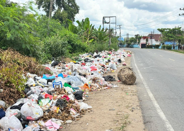 Sampah Mengular di Mendalo Darat,  Armada Terbatas Jadi Kendala