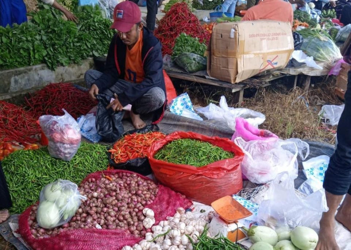 Harga Cabe Merah Mulai Turun, Berkat Cadangan Intervensi Pemerintah