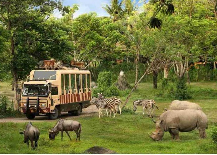 Tips Berwisata ke Taman Safari Indonesia untuk yang Pertama Kali