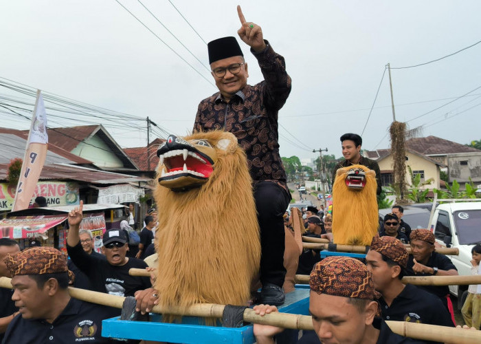 Dominasi Maulana-Diza: Kemenangan Telak di Setiap Kecamatan Kota Jambi, Ini Perolehan Suaranya