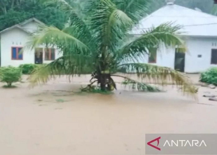 Banjir Rendam 1.459 Rumah di Batang Kapas Pesisir Selatan Sumbar