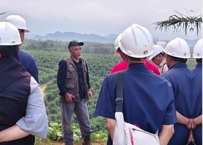 Akhir Tahun, Region Head PTPN IV Regional 4 Kunjungi Kebun Solok Selatan