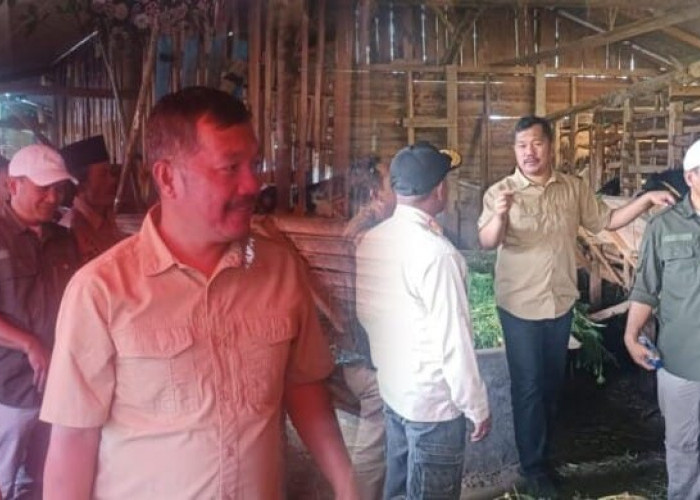 Pemkab Kerinci Tetapkan Batang Sangir Sentra Peranakan Kambing Etawa