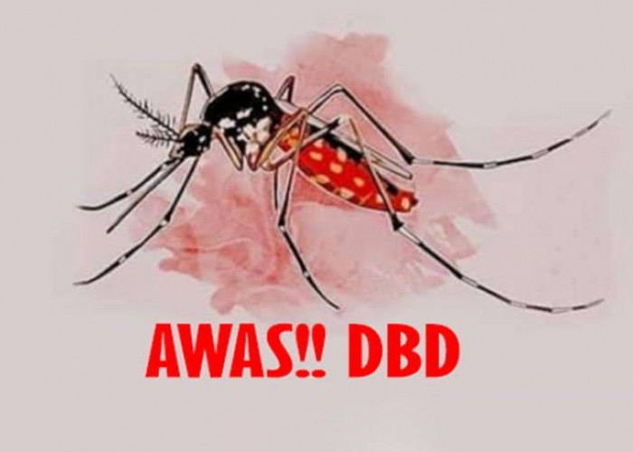 Waspada DBD Saat El Nino, Nyamuk Dengue Ganas di Suhu Tinggi