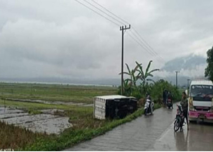 Di Kerinci, Truk Box Tabrak Tiang Listrik dan Terguling ke Sawah 