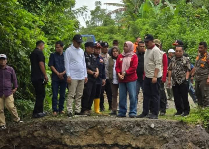 Tiba di Kerinci, Bupati Monadi dan Wabup Langsung Pantau Jalan Putus dan Longsor  