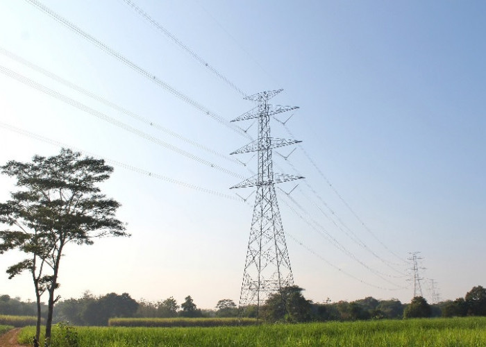 Awal Tahun 2026, Pemerintah Putuskan Tarif Listrik Tidak Naik