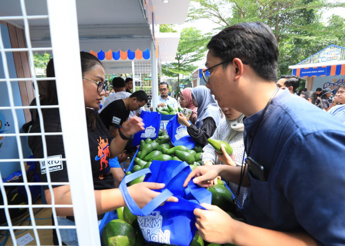 Berkat Program Pemberdayaan BRI Klasterku Hidupku, Petani Ini Berhasil Kembangkan Budidaya Alpukat