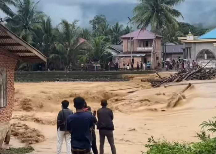 Curah Hujan di Bungo Sangat Tinggi, Sungai Meluap, Longsor Terjadi di Belasan Titik