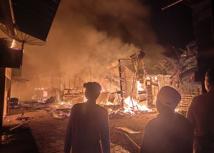 Api Mengamuk di Bungo, Belasan Rumah Warga Terbakar