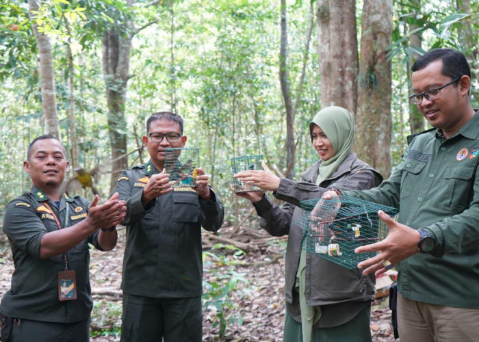 Karantina Jambi Gagalkan Pengiriman Burung Tanpa Dokumen