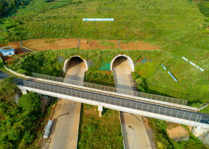 Keren! RI Bangun Jalan Tol Tembus Terowongan Bawah Laut Rampung 2024