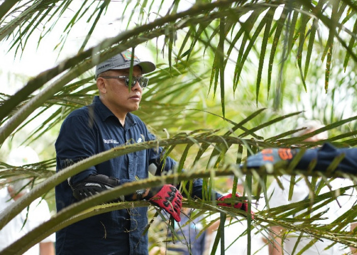 Siaga Hadapi Kemarau, PTPN IV PalmCo Perkuat Deteksi Dini Karhutla hingga Strategi Agronomi