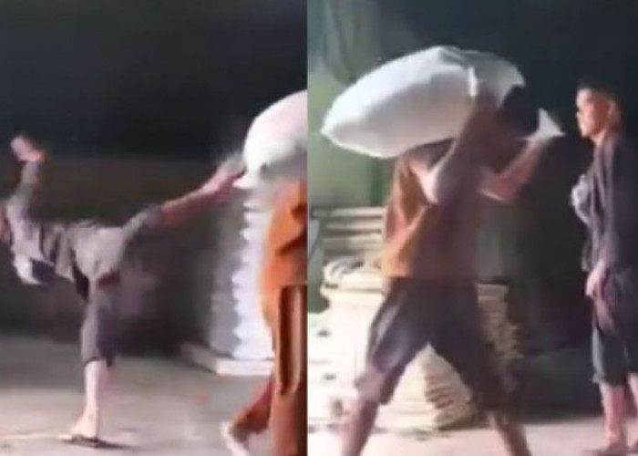 Viral! Perekam Sebut Kejadian di Jambi, Video Pria Diduga Mandor Tendang Kuli Panggul