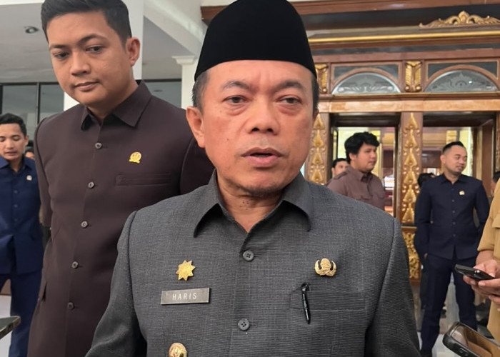 Al Haris Ungkap 75 Kasus Karhutla di Jambi, 80 Persen Diduga Sengaja Dibakar
