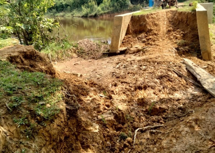 Bendungan Sawah Longsor, Petani Tanjung Sari Terancam Gagal Panen dan Tak Turun Lagi ke Sawah