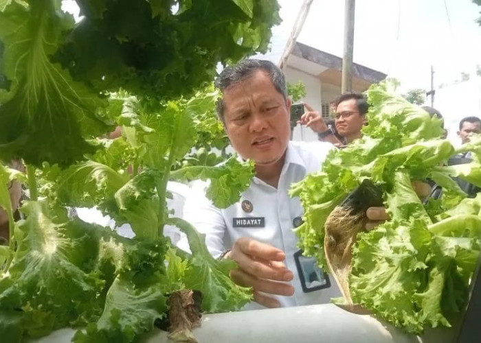 Lapas Jambi Canangkan Sentra Ketahanan Pangan Jadi Wadah Asimilasi WBP