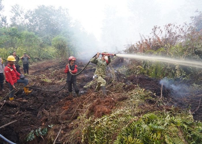 Danrem 042/Gapu Turun Langsung ke Londerang Padamkan Kebakaran Hutan dan Lahan