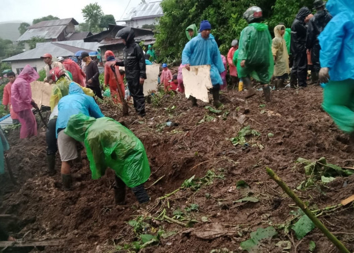 Rumah Warga Diterjang Longsor di Kayu Aro, Satu Orang Tertimbun Dikabarkan Meninggal