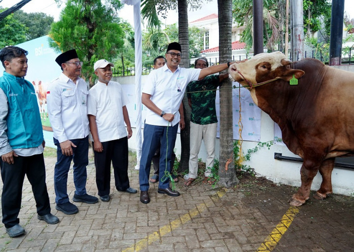 Wujud Nyata Ekonomi Berkeadilan: BSI Salurkan Lebih dari 24 Ribu Hewan Kurban, Naik 57%