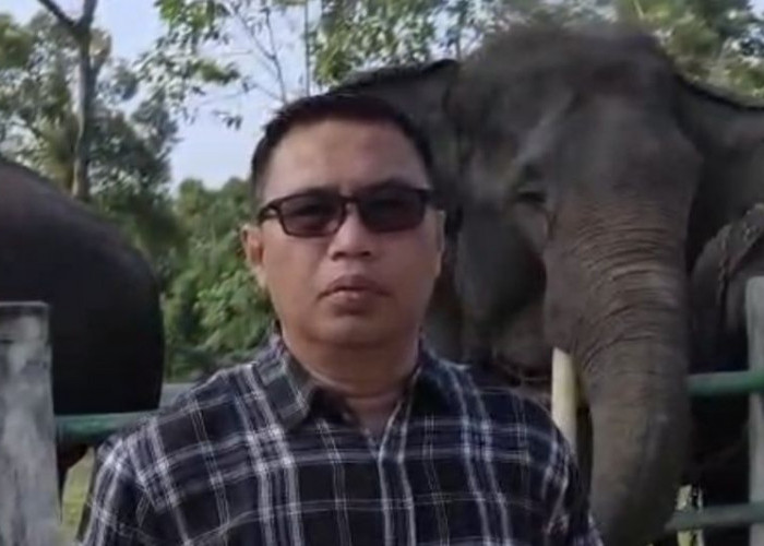 BKSDA Jambi Dorong Masyarakat Sekitar PIKG Terlibat Bangun Ekosistem