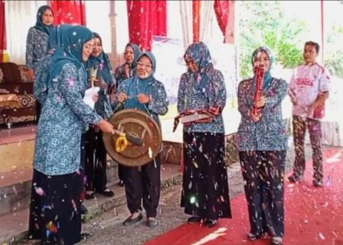 Hj Lavita Syukur Minta Kader PKK Jadi Solusi Keluh Kesah Masyarakat di Renah Pembarap