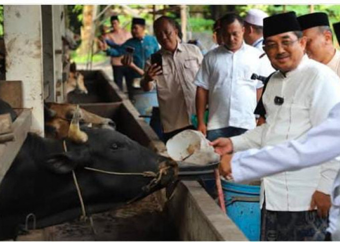 Masih dalam Rangkaian Kunjungan, Bupati Tanjab Barat Tinjau Peternakan dan Kebun Sayur Warga Purwodadi