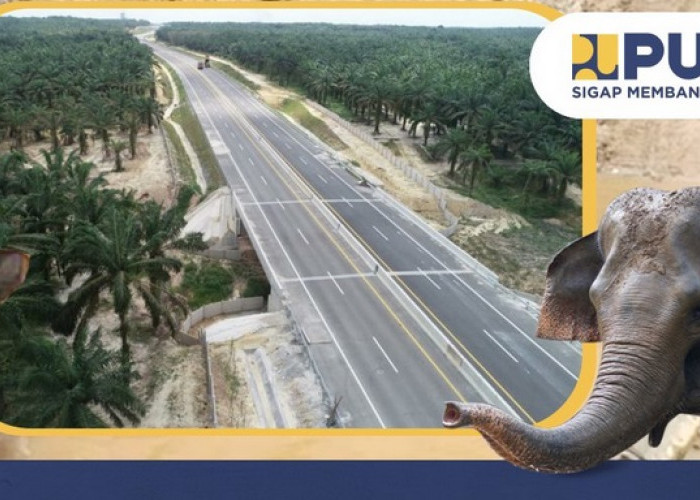 Tol Riau Bukan Lagi Jadi Pemilik Tunggal Terowongan Gajah di RI, Ini Saingan Barunya