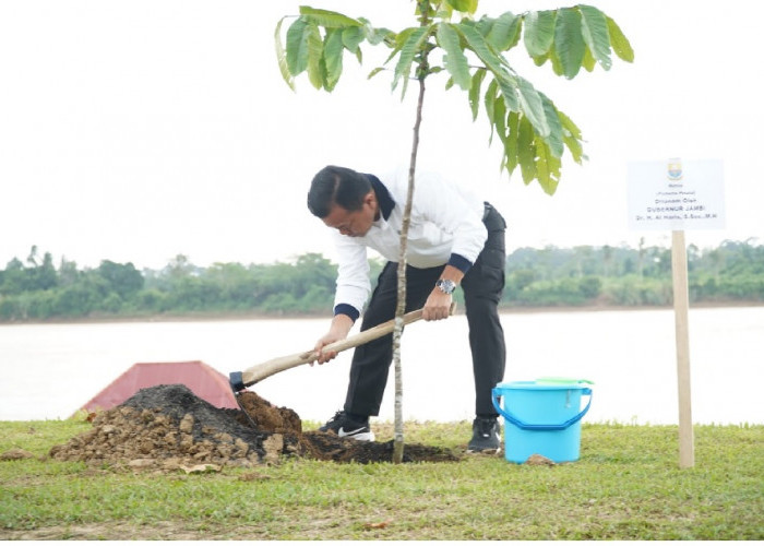 Sahli Menteri LH : Jambi Jadi Contoh Gerakan Tanam Pohon Serentak
