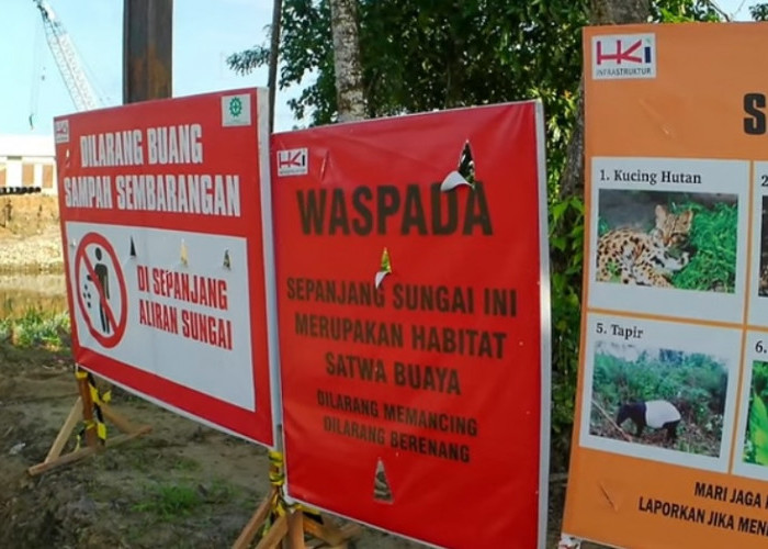 Awas! HKI Tempel Peringatan ‘Waspada Buaya’ di Lokasi Proyek Tol Padang-Pekanbaru, Sungainya Ngeri Kali