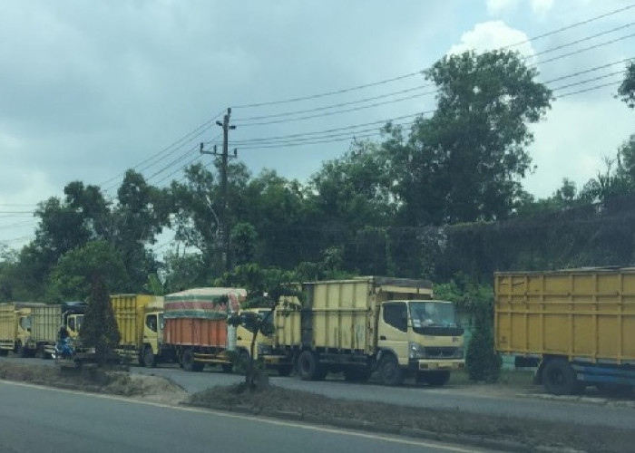 85 Truk Angkutan Batu Bara Parkir di Bahu Jalan di Perbatasan Kota Jambi-Muarojambi 