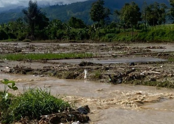 BREAKING NEWS: Mayat Pria Diduga Korban Terseret Longsor dan Banjir di Kerinci-Sungai Penuh Ditemukan