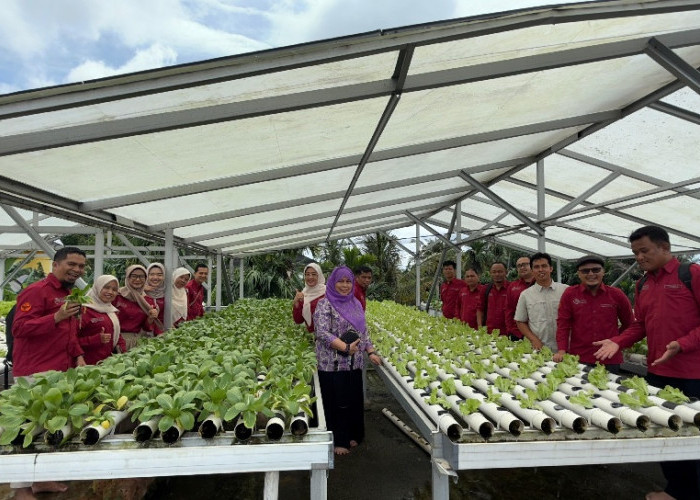 Mahasiswa MTP Unja Belajar Teknopreneurship dari Kebun Hidroponik