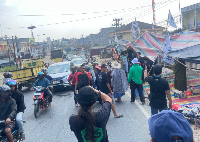 Didemo BPR, PT SAS Pertanyakan Sikap WALHI Soal Larangan Menanam Pohon