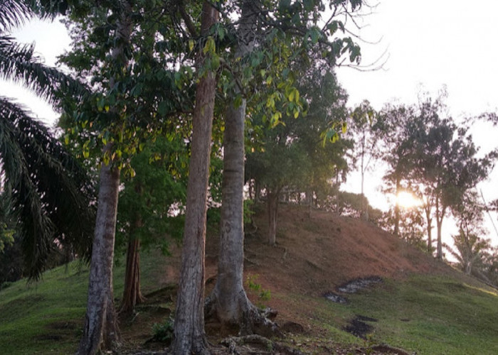 Legenda Bukit Perak Muaro Jambi dari Hilangnya Keris Sakti Datuk Sengalo