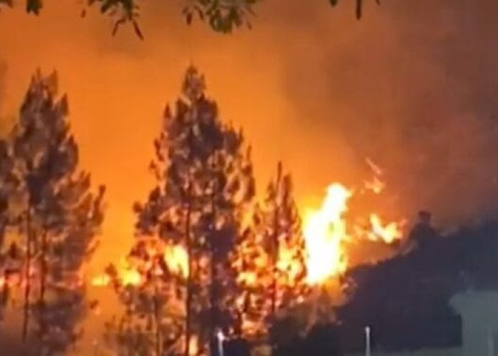 Kebakaran Hebat di Bukit Padon atau Simancik Belakang Kantor Walikota Sungai Penuh 