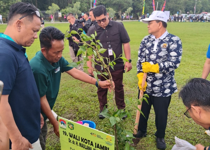 Tanam Pohon Kananga Pada Rangkaian APEKSI, Wali Kota Maulana Tekankan Sebagai Upaya Menciptakan “Kota Tangguh”