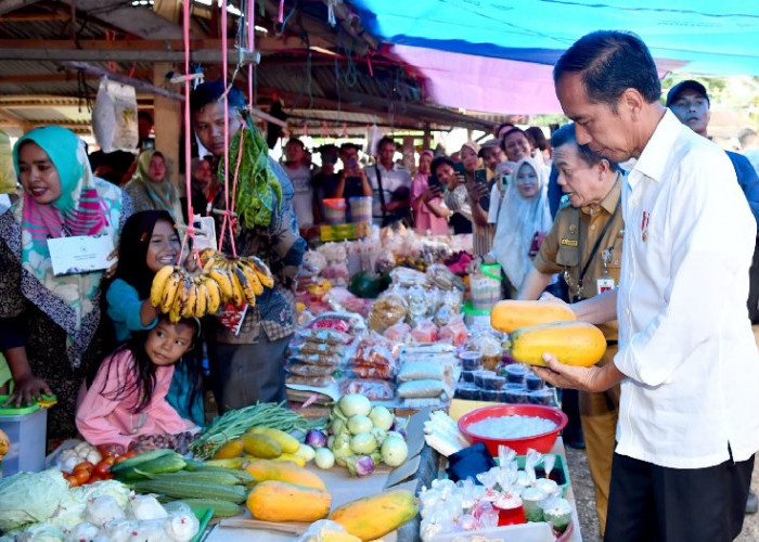 Berkunjung ke Tebo, Presiden Jokowi Cek Harga Sembako di Pasar Tanjung Bungur