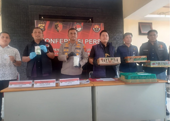 Sabu dan Ekstasi Terungkap di Balik Kasus Penyelundupan Satwa Dilindungi di Muaro Jambi