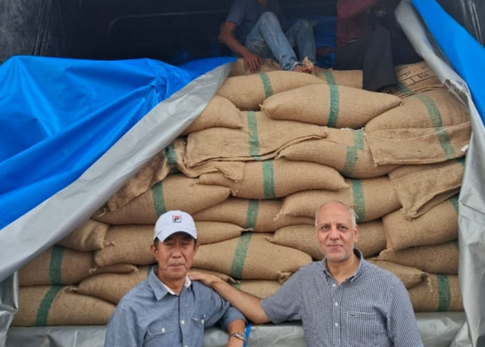 Mulyadi Ekspor Kopi Kerinci Ke Luar Negeri 