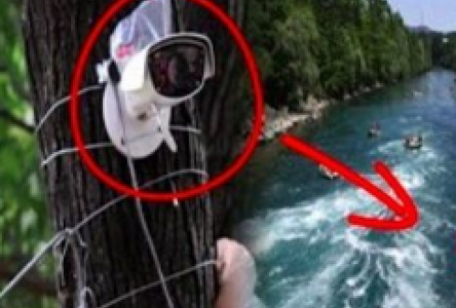 Sosok Eril Kabarnya Terekam CCTV di Sungai Aare? Cek Faktanya